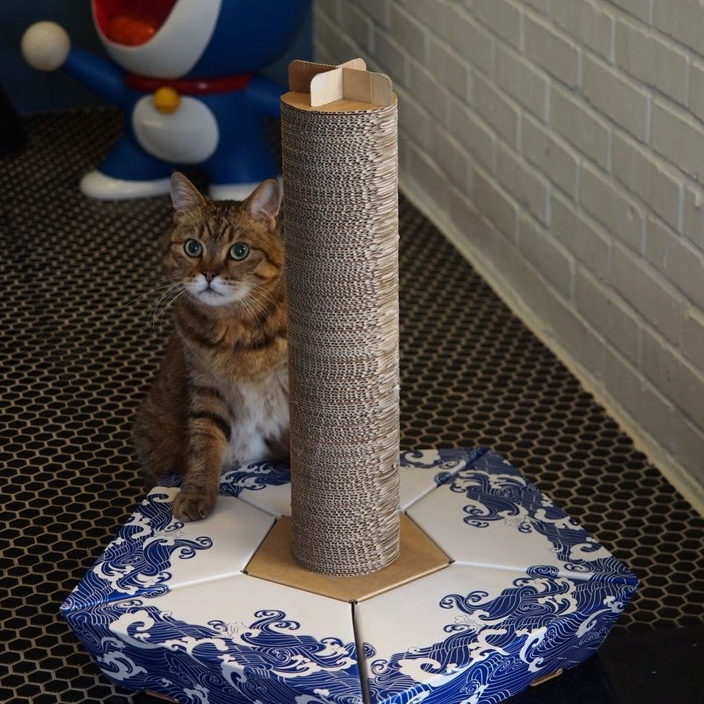 ピラー     THE PILAR