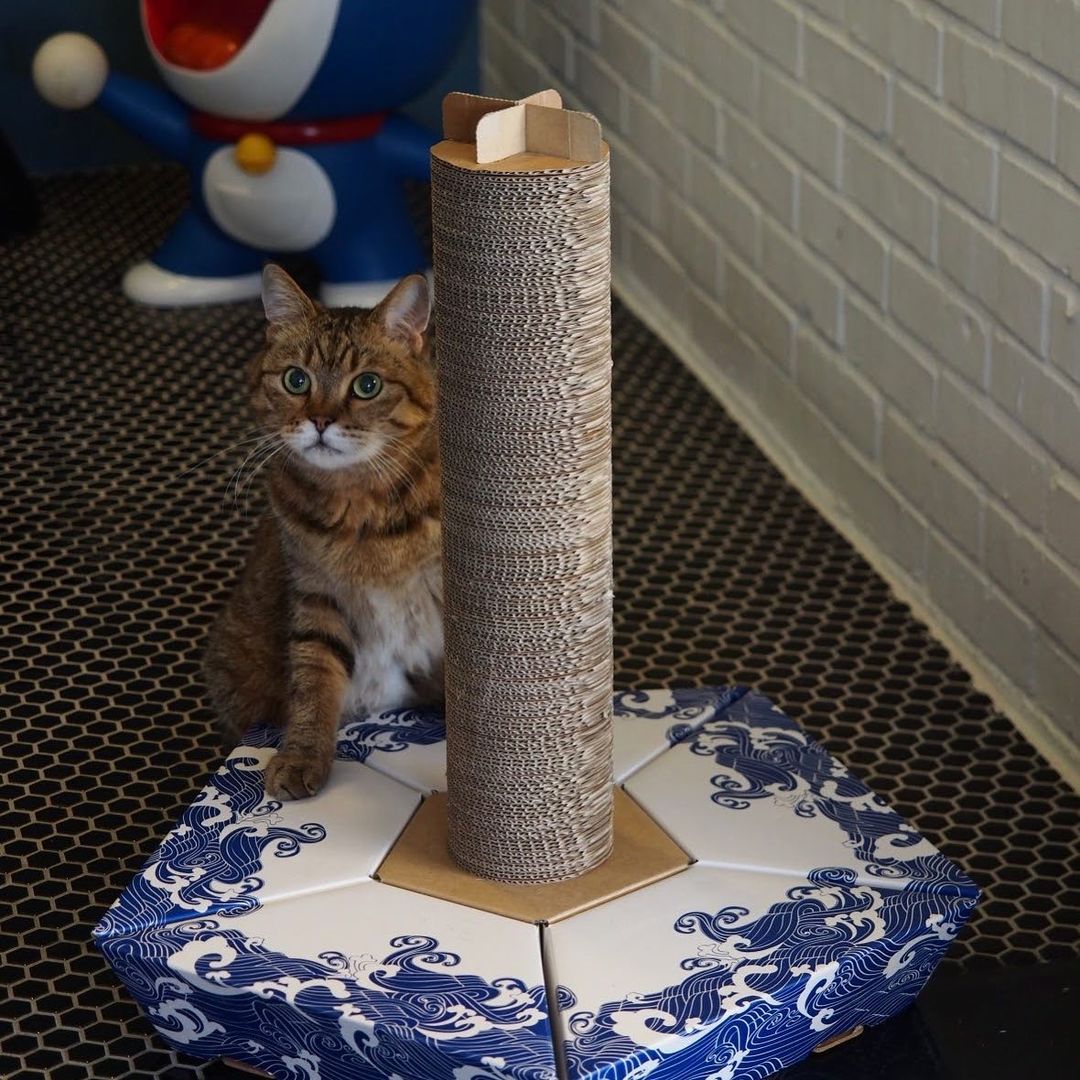 ピラー     THE PILAR