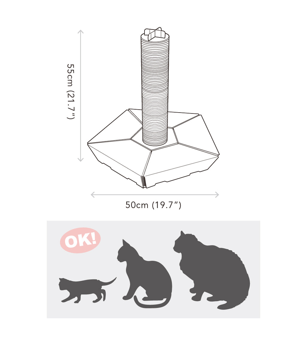 ピラー     THE PILAR