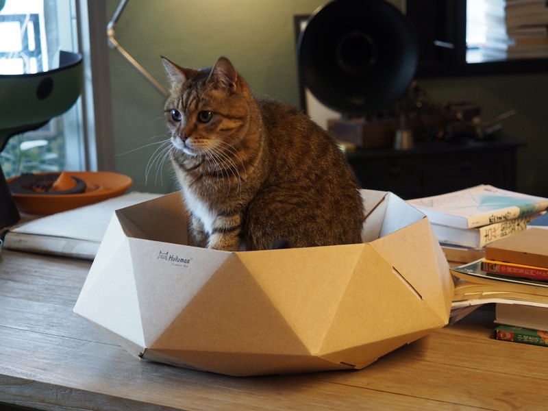 ダイヤモンドベッド                       DIAMOND BED