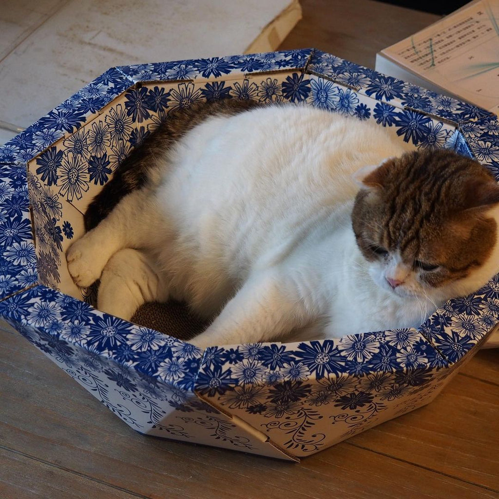 チャイナボウル　CHINA BOWL